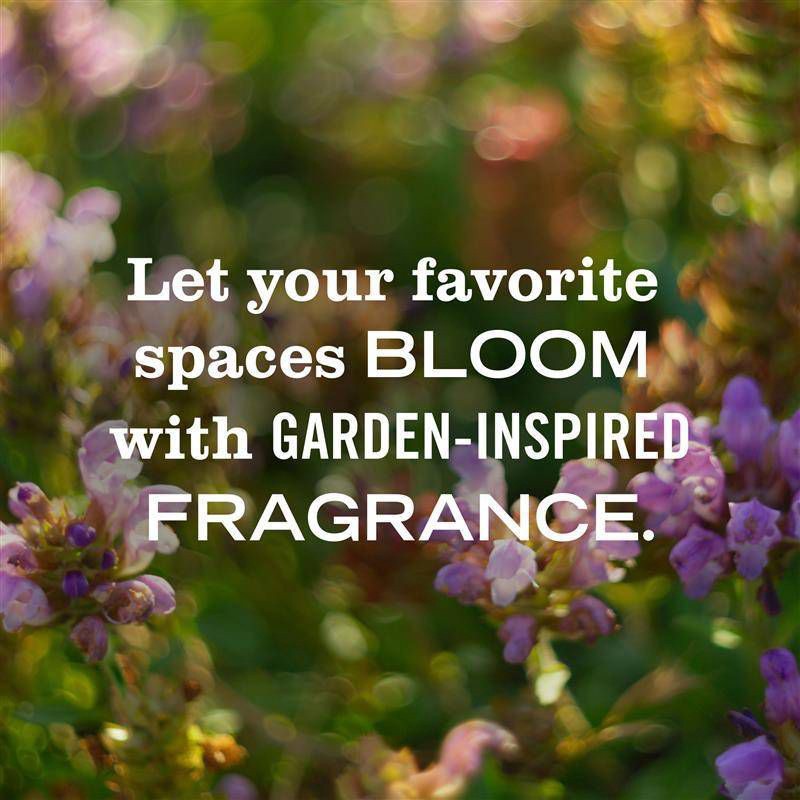 slide 10 of 12, Mrs. Meyer's Clean Day Premium Scented Oil Plug-In Diffuser Air Freshener Refills - Rain Water - 0 .67 fl oz/2pk, 2 ct; 0.67 fl oz