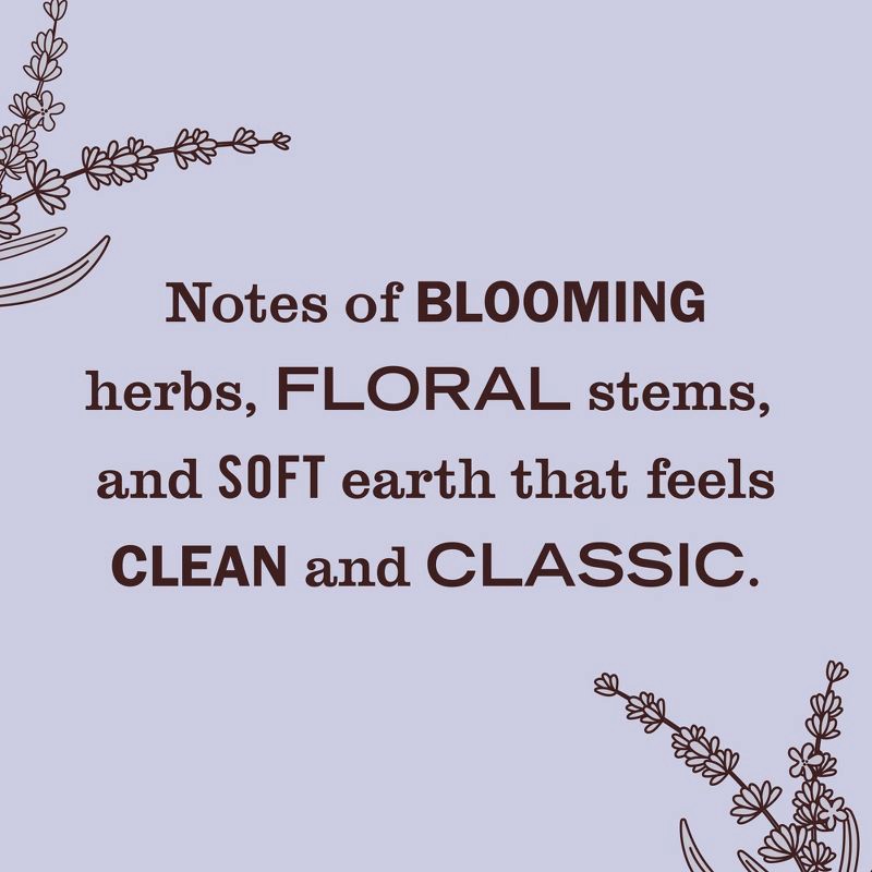 slide 10 of 13, Mrs. Meyer's Clean Day Premium Scented Oil Plug-In Diffuser Air Freshener Starter Kits - Lavender - 1 Warmer + 1 Refill - 0.67 fl oz, 0.67 fl oz