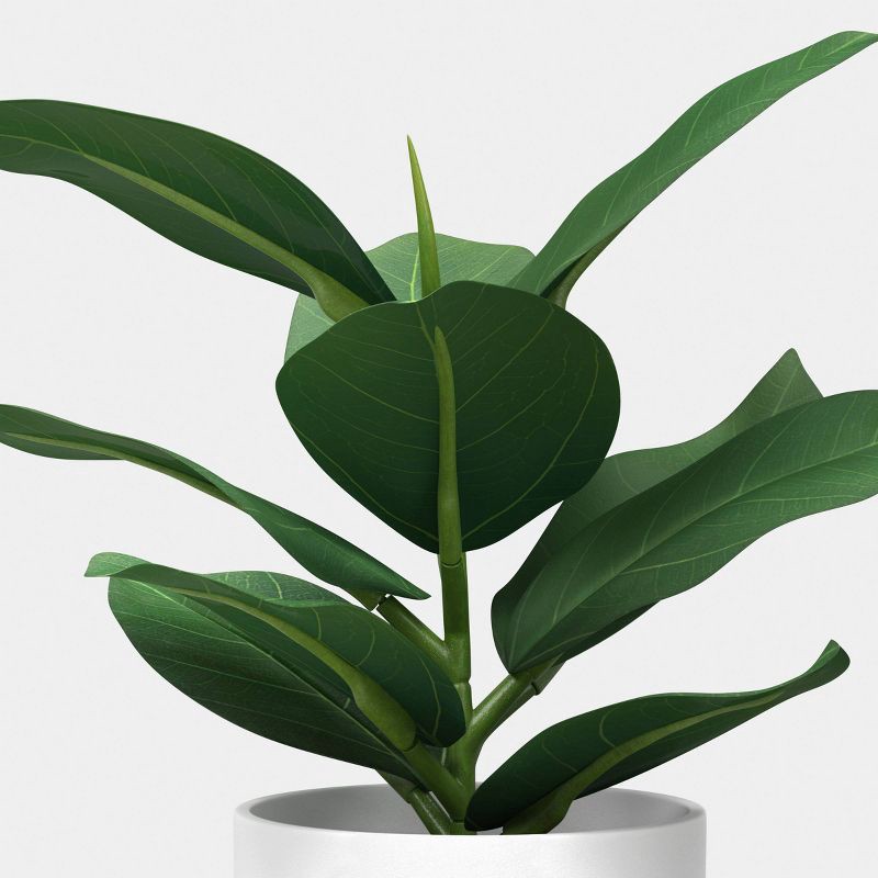 slide 3 of 4, 9" Ficus Mini Arrangement - Room Essentials™, 1 ct