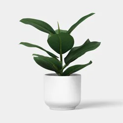 9" Ficus Mini Arrangement - Room Essentials™