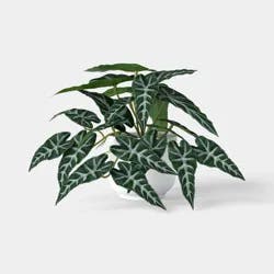 9" Trailing Mini Arrangement - Room Essentials™