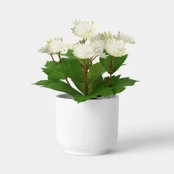8.25" White Floral Mini Arrangement - Room Essentials™