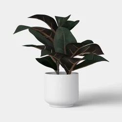 11" Rubber Leaf Plant - Room Essentials™