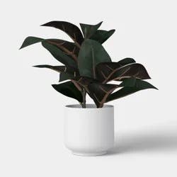 11" Rubber Leaf Plant - Room Essentials™
