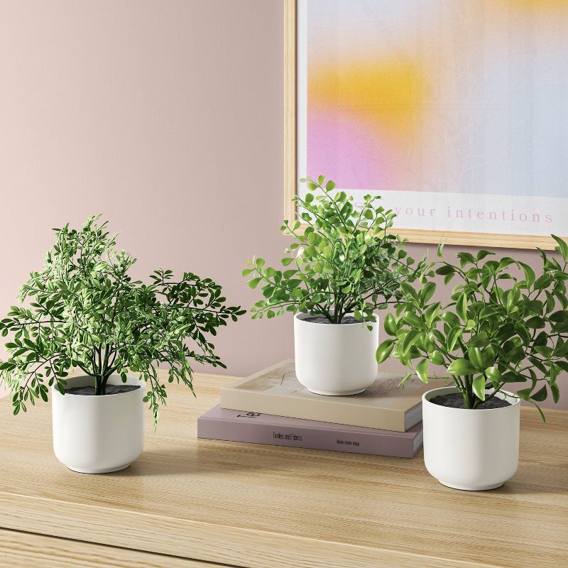 slide 2 of 6, 7.5" Herb Multipack in White Pot - Room Essentials™, 1 ct