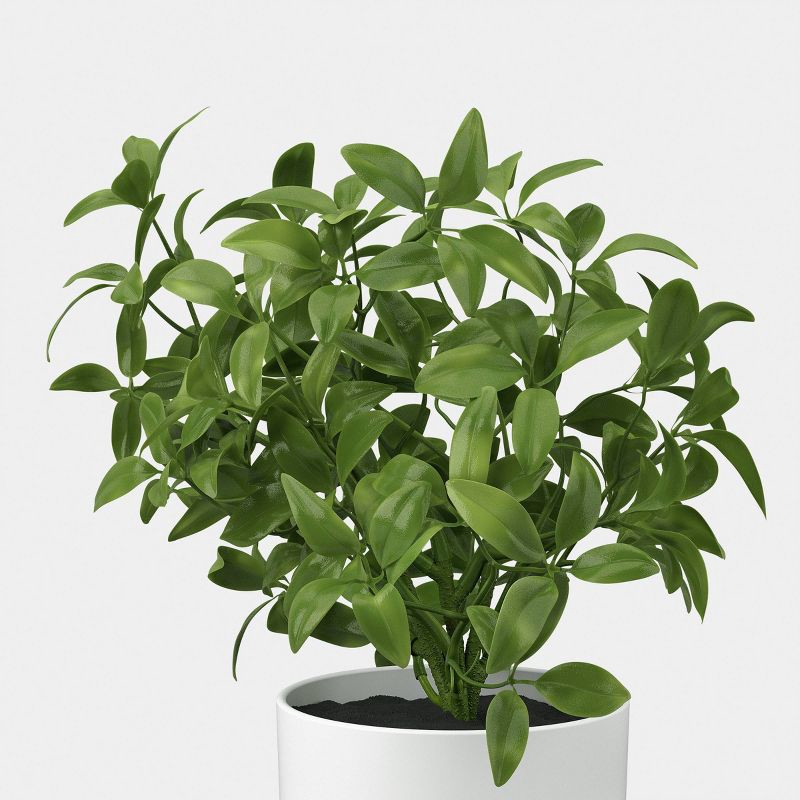 slide 3 of 6, 7.5" Herb Multipack in White Pot - Room Essentials™, 1 ct