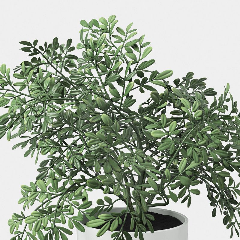 slide 4 of 6, 7.5" Herb Multipack in White Pot - Room Essentials™, 1 ct