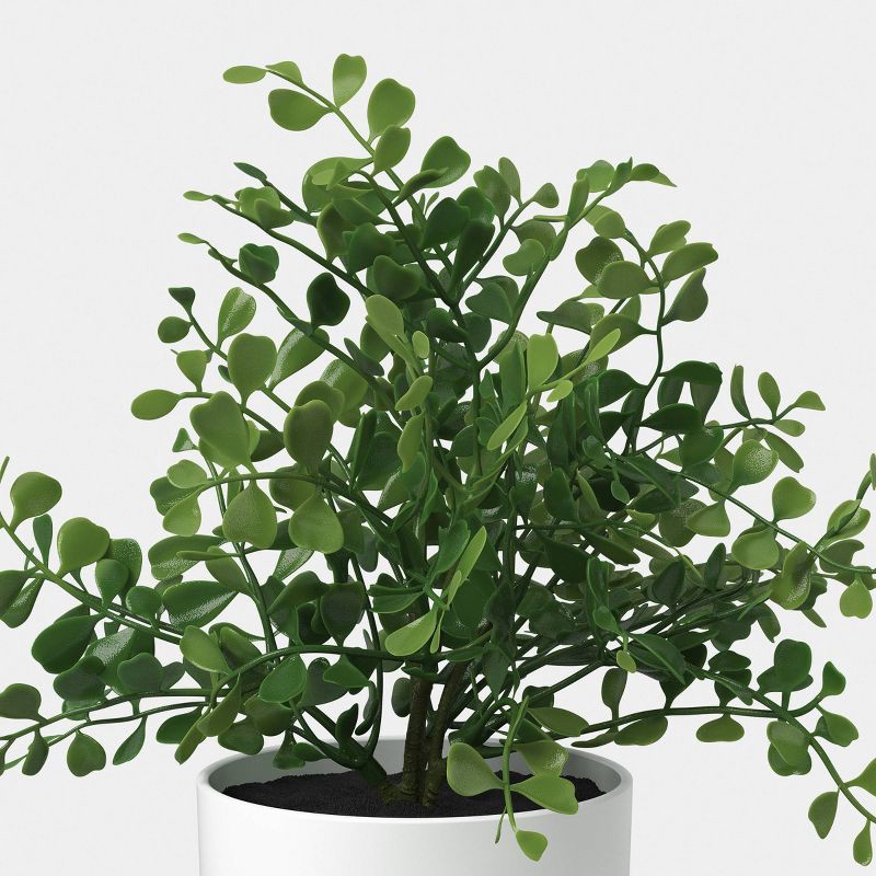 slide 5 of 6, 7.5" Herb Multipack in White Pot - Room Essentials™, 1 ct