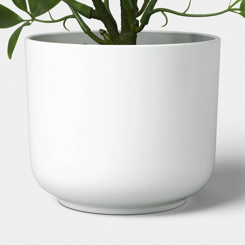 slide 6 of 6, 7.5" Herb Multipack in White Pot - Room Essentials™, 1 ct