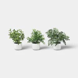 7.5" Herb Multipack in White Pot - Room Essentials™