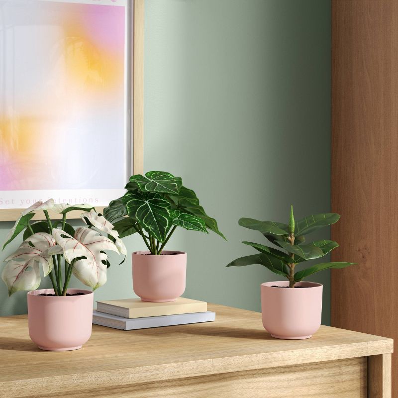 slide 2 of 6, 7.25" Fashion Plant Multipack in Pink Pot - Room Essentials™, 1 ct