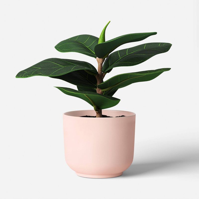 slide 3 of 6, 7.25" Fashion Plant Multipack in Pink Pot - Room Essentials™, 1 ct