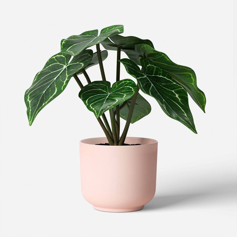 slide 4 of 6, 7.25" Fashion Plant Multipack in Pink Pot - Room Essentials™, 1 ct