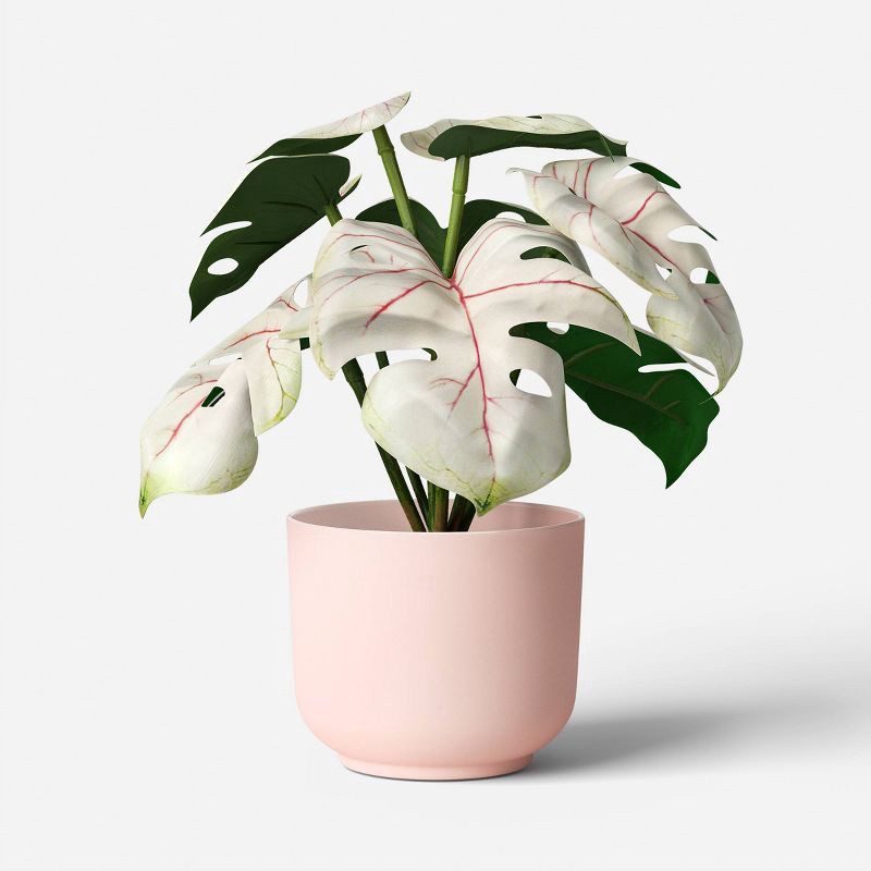 slide 5 of 6, 7.25" Fashion Plant Multipack in Pink Pot - Room Essentials™, 1 ct