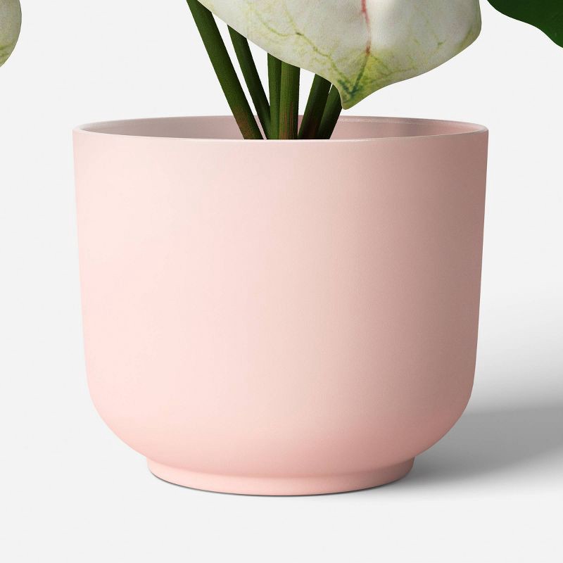 slide 6 of 6, 7.25" Fashion Plant Multipack in Pink Pot - Room Essentials™, 1 ct