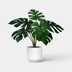 13" Monstera Plant - Room Essentials™