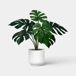 13" Monstera Plant - Room Essentials™