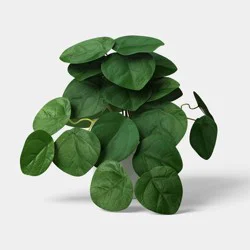 8" Pilea Mini Arrangement - Room Essentials™