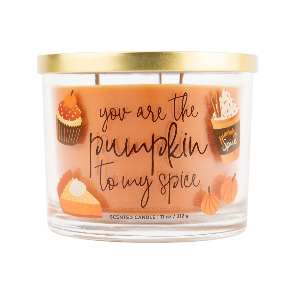 slide 1 of 1, Chesapeake Bay Pumpkin To My Spice Scented Jar Candle - Orange, 11 oz