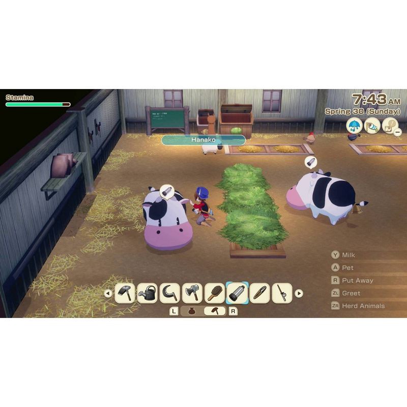 slide 2 of 7, Story of Seasons: Grand Bazaar - Nintendo Switch 2, 1 ct