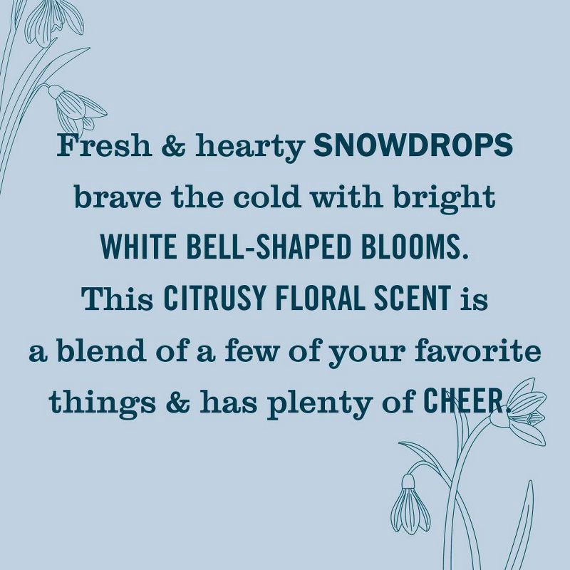 slide 3 of 9, Mrs. Meyer's Clean Day Premium Scented Oil Plug-In Diffuser Air Freshener Starter Kits - Snow Drop - 1 Warmer + 1 Refill - 0.67 fl oz, 0.67 fl oz