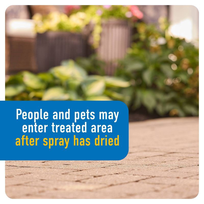 slide 10 of 13, Roundup Dual Action Quick Hand Applicator, 1 ct