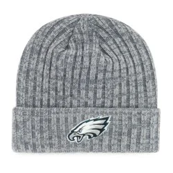 NFL Philadelphia Eagles Frosty Knit Beanie