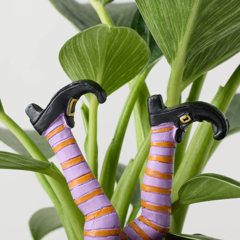 slide 2 of 8, Halloween Hunch Punch Live Houseplant - Good Little Garden™, 1 ct