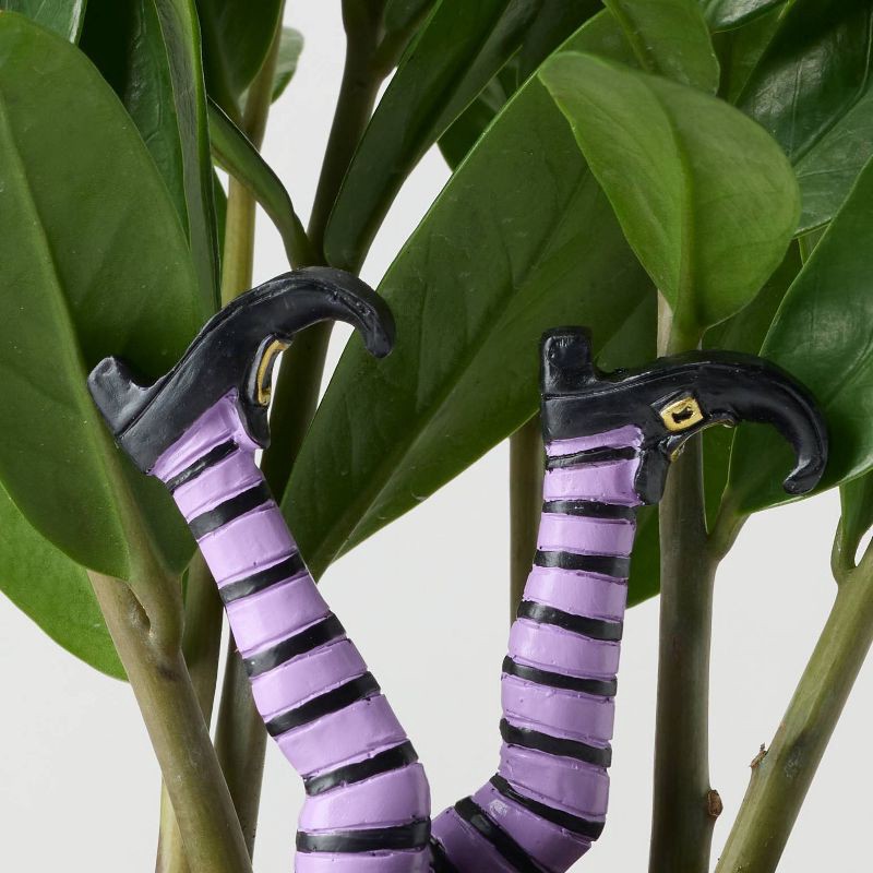 slide 4 of 8, Halloween Hunch Punch Live Houseplant - Good Little Garden™, 1 ct