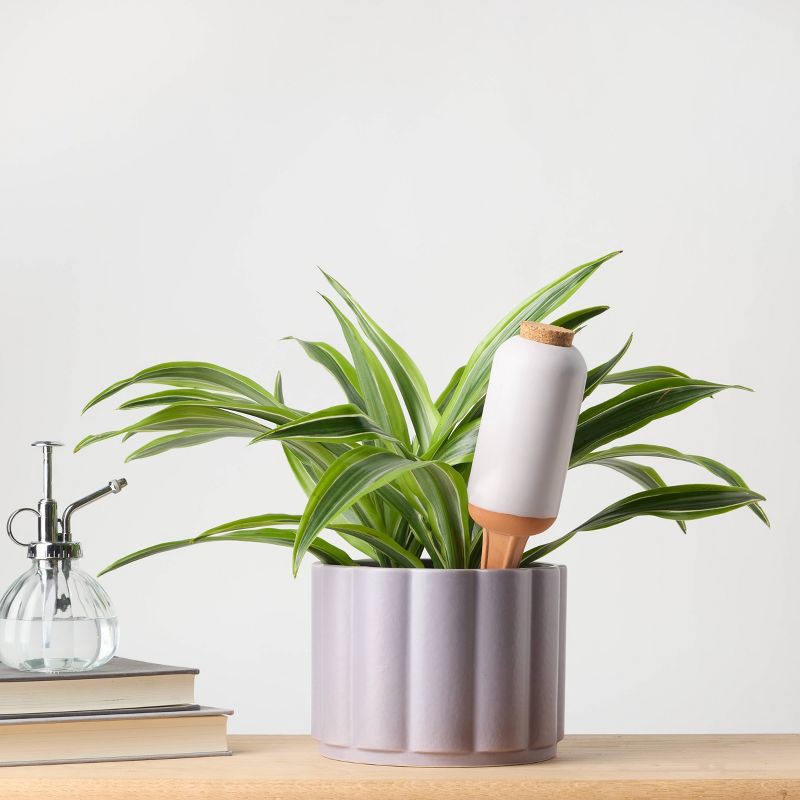 slide 2 of 5, Water Spike Cylinder - Good Little Garden™, 1 ct