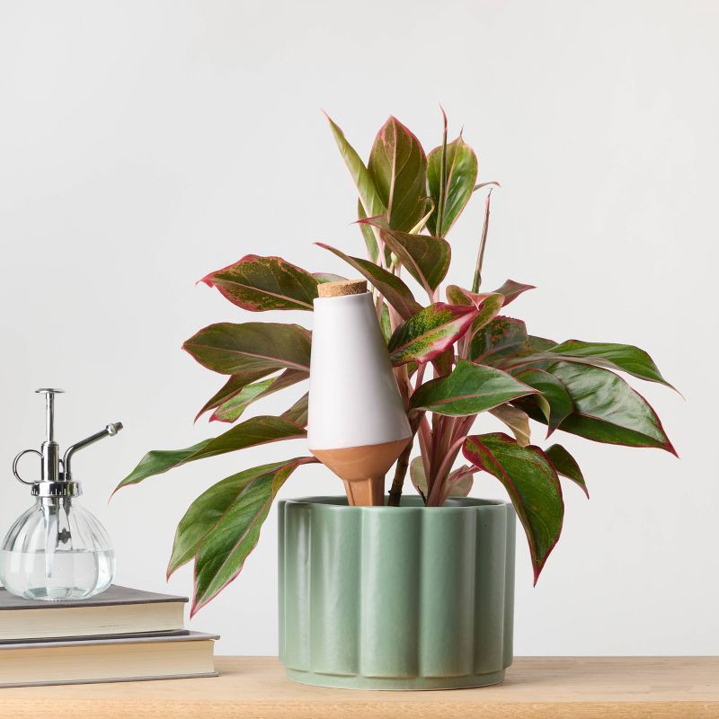 slide 2 of 5, Water Spike Cone - Good Little Garden™, 1 ct