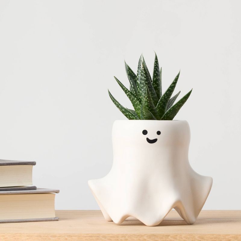 slide 12 of 12, Halloween Ghastly Live Houseplant - Good Little Garden™, 1 ct