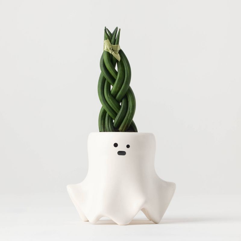 slide 4 of 12, Halloween Ghastly Live Houseplant - Good Little Garden™, 1 ct