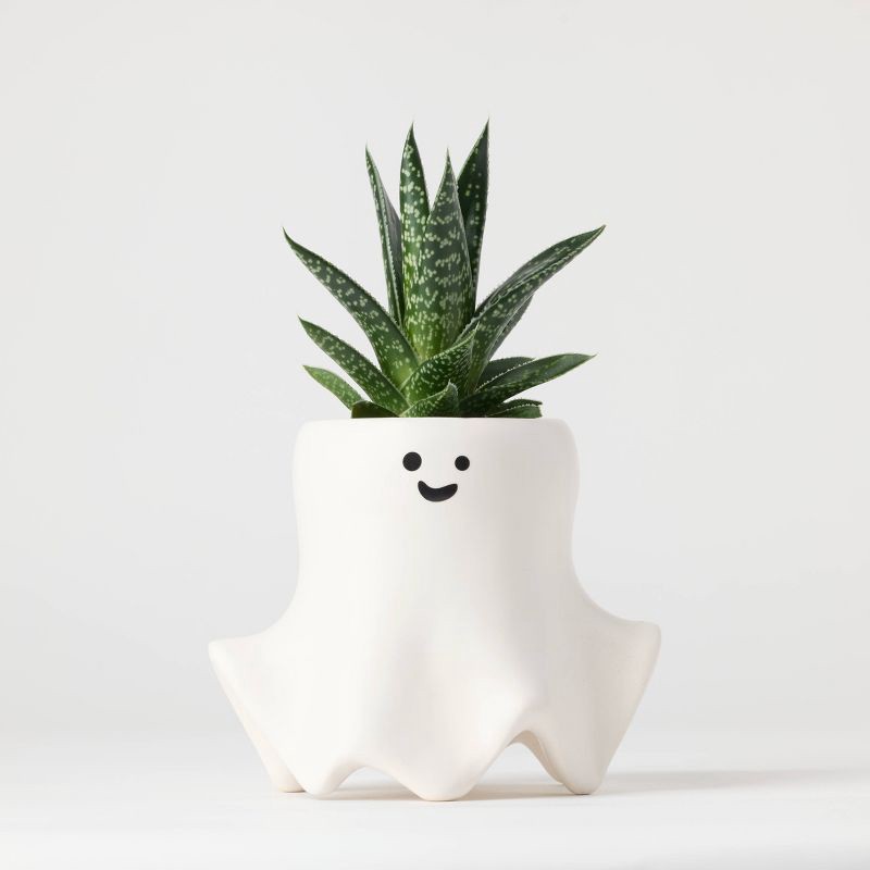 slide 1 of 12, Halloween Ghastly Live Houseplant - Good Little Garden™, 1 ct