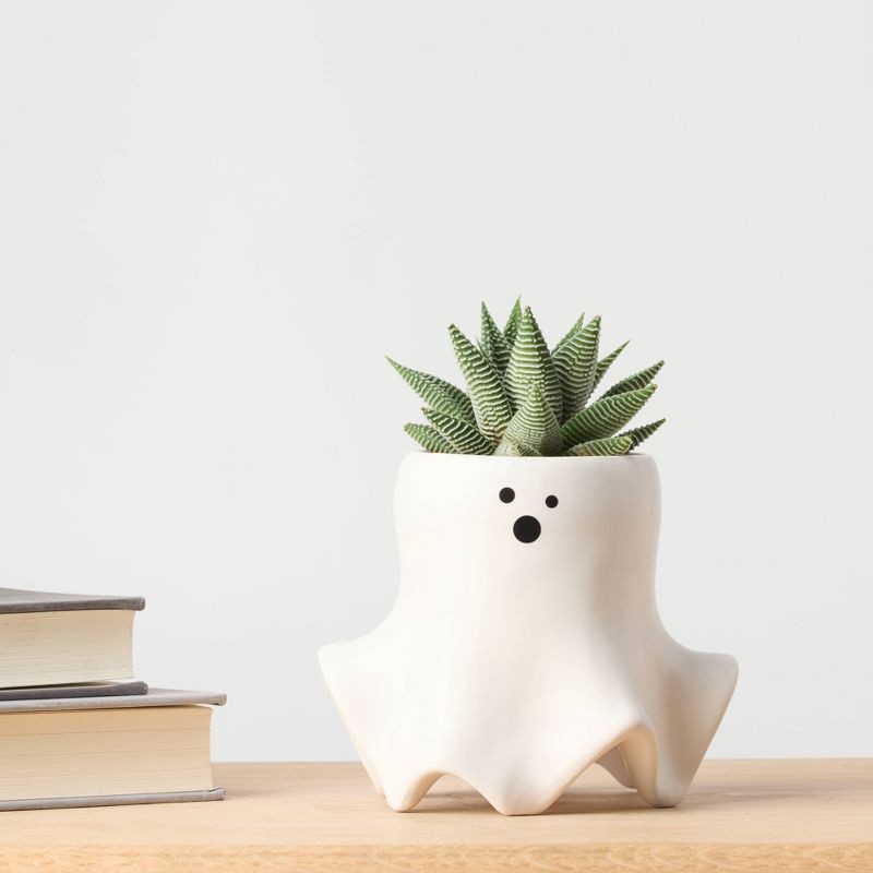 slide 11 of 12, Halloween Ghastly Live Houseplant - Good Little Garden™, 1 ct