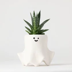 Halloween Ghastly Live Houseplant - Good Little Garden™