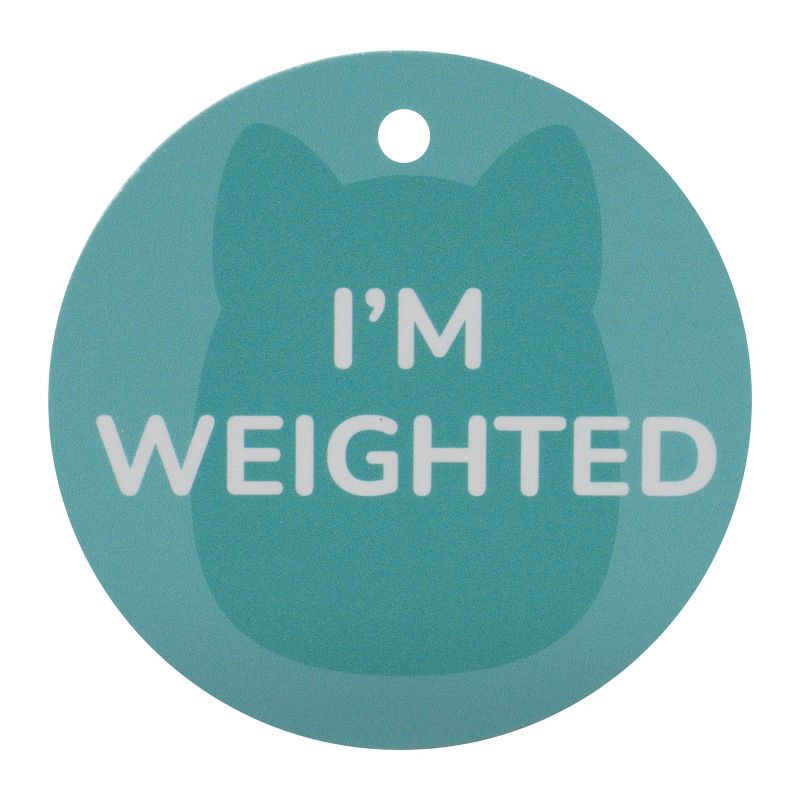 slide 12 of 12, Squishmallows 8" Weighted Kiwi Bear Sleepamallow Stuffed Animal, 1 ct