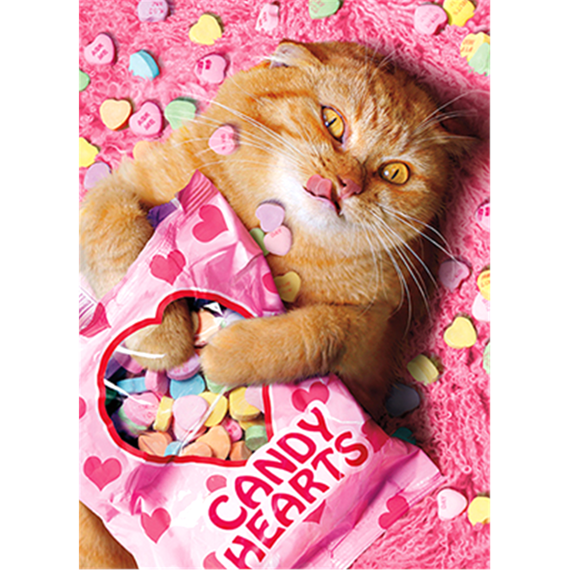 slide 1 of 1, Avanti Card Valentine Sweetheart Cat, 1 ct