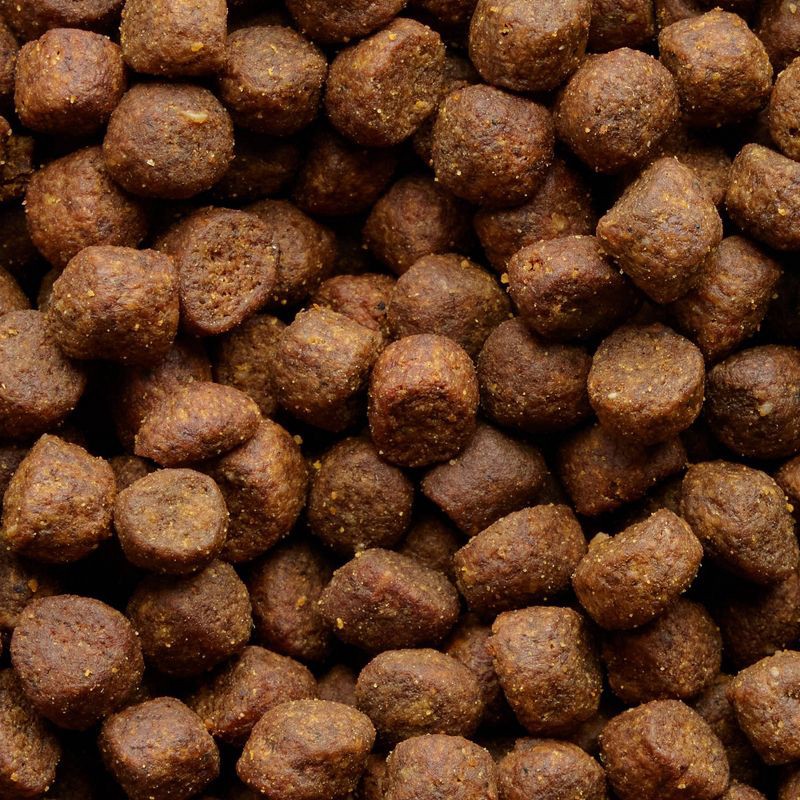 slide 4 of 5, Stella & Chewy's Chicken and Turkey Flavor Wild Red Raw Coated Grain and Legume Free Dry Dog Food - 3.5lbs, 3.5 lb