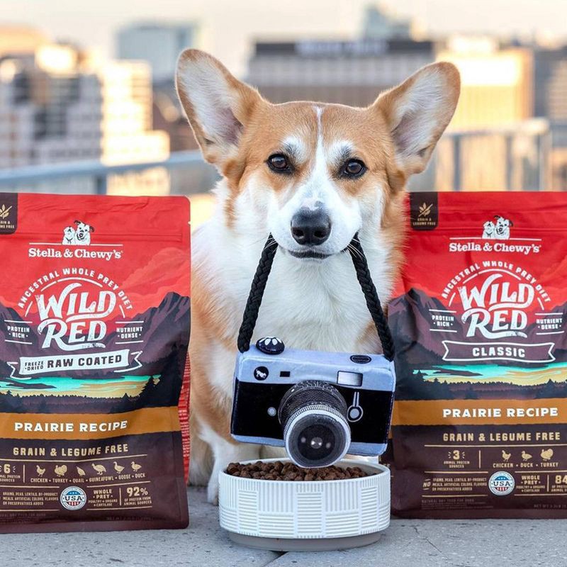 slide 5 of 5, Stella & Chewy's Chicken and Turkey Flavor Wild Red Raw Coated Grain and Legume Free Dry Dog Food - 3.5lbs, 3.5 lb