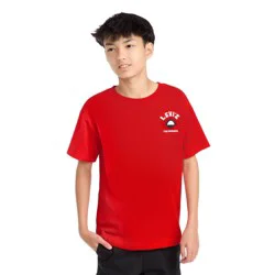 Levi's® Boys' Short Sleeve Waterfront View Graphic T-Shirt - Red S