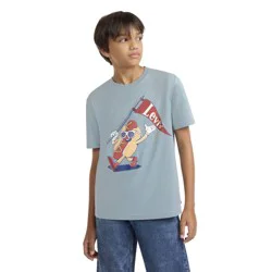 Levi's® Boys' Short Sleeve Parading Hot Dog T-Shirt - Heathered Gray S