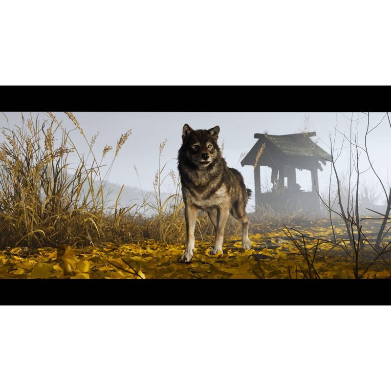 slide 4 of 19, Ghost of Yotei - PlayStation 5, 1 ct