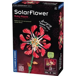 Thames & Kosmos Robotic Solar Flower