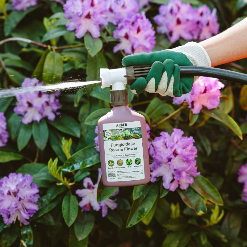 slide 2 of 6, Arber Organic Fungicide for Rose and Flower, 1 ct