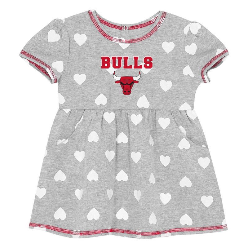 slide 2 of 3, NBA Chicago Bulls Toddler Gray Dress - 4T, 1 ct