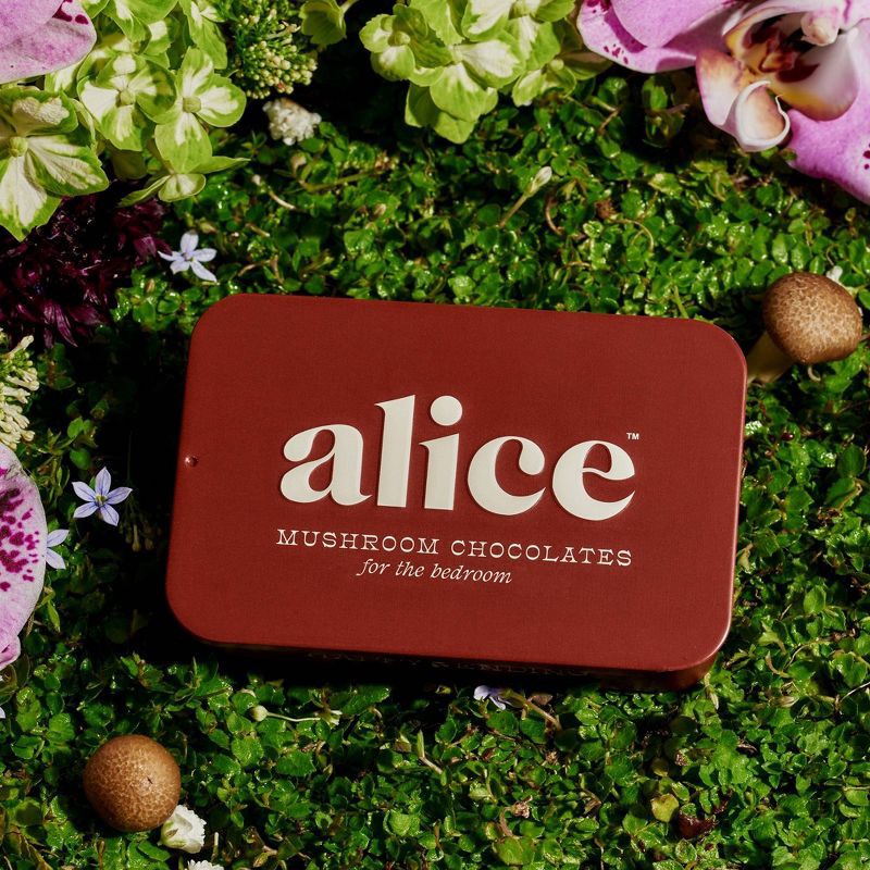 slide 5 of 12, Alice Mushrooms Happy Ending Mushroom Dietary Supplement Chocolates - 8ct, 8 ct