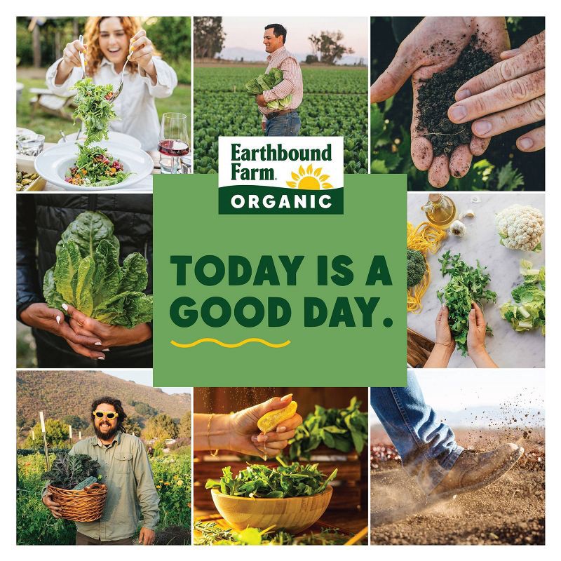 slide 3 of 4, Earthbound Farm Fresh Organic Chopped Kale - 10oz, 10 oz