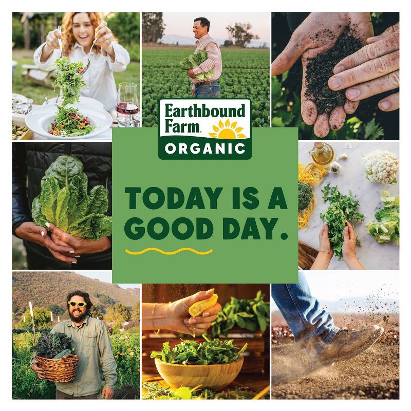 slide 3 of 4, Earthbound Farm Organic Golden Balsamic Salad Kit - 5.35oz, 5.35 oz