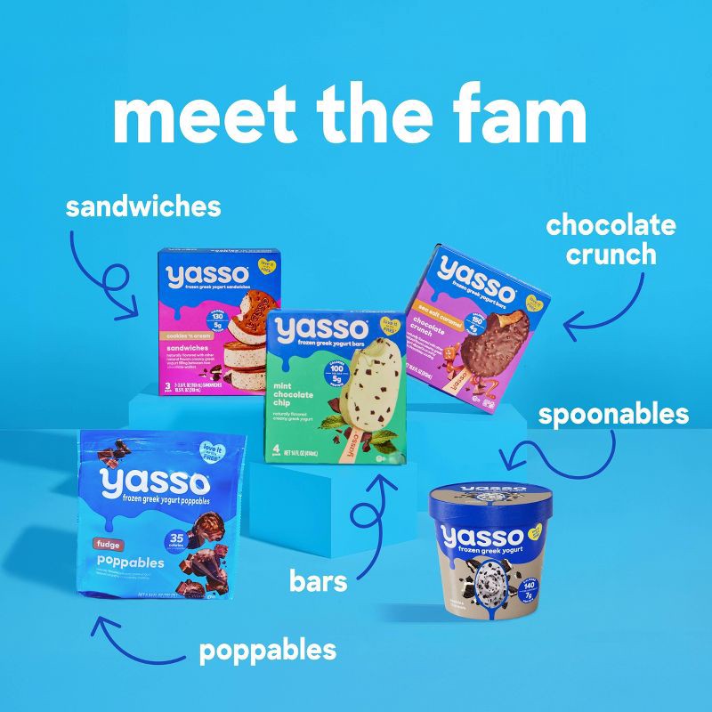 slide 6 of 7, Yasso Coffee Chocolate Chip Frozen Greek Yogurt - 14 fl oz, 14 fl oz